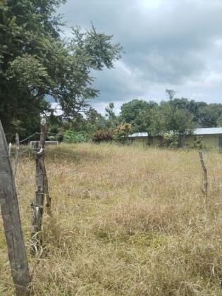 VENDO TERRENO EN BEJUCO (CHAME)