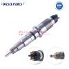 Common Rail Fuel Injector 253-0617